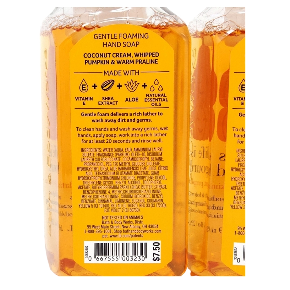 Fall Pumpkin Coconut Latte Gentle Foaming Hand Soap 2 New Bottles, Life is Gourd - Picture 3 of 3